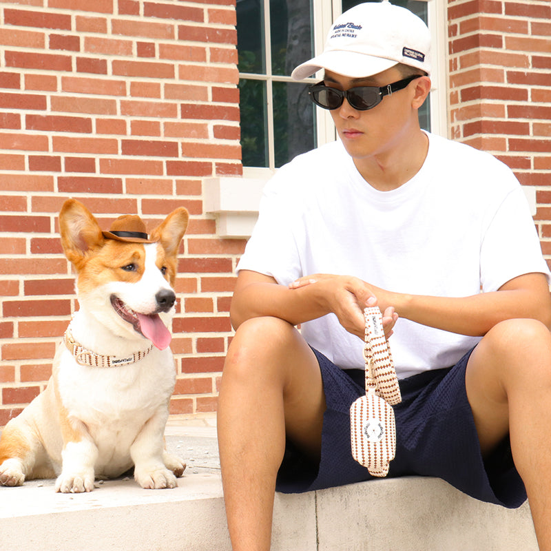 small grain puppy collar and leash for small and medium dog