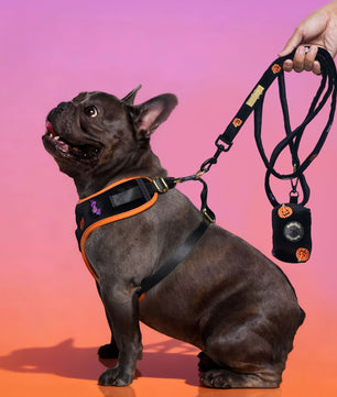 Halloween Poop Bag Holder