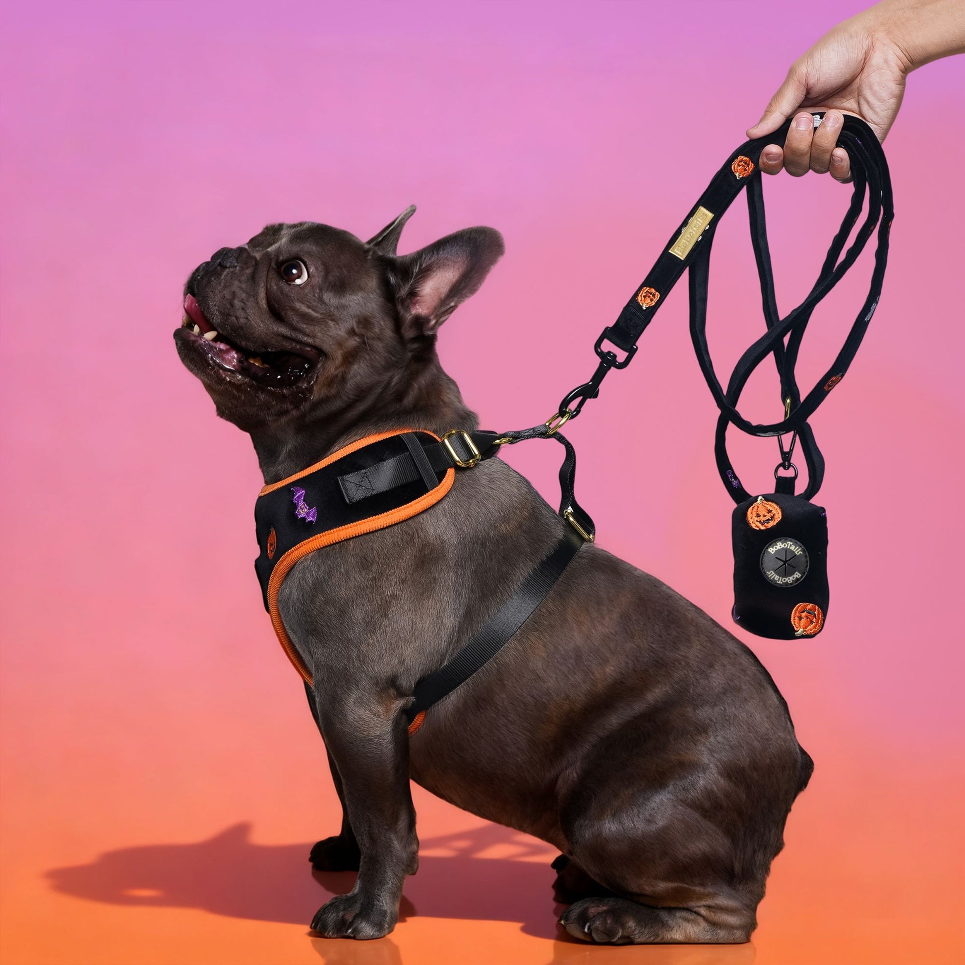 Halloween Poop Bag Holder