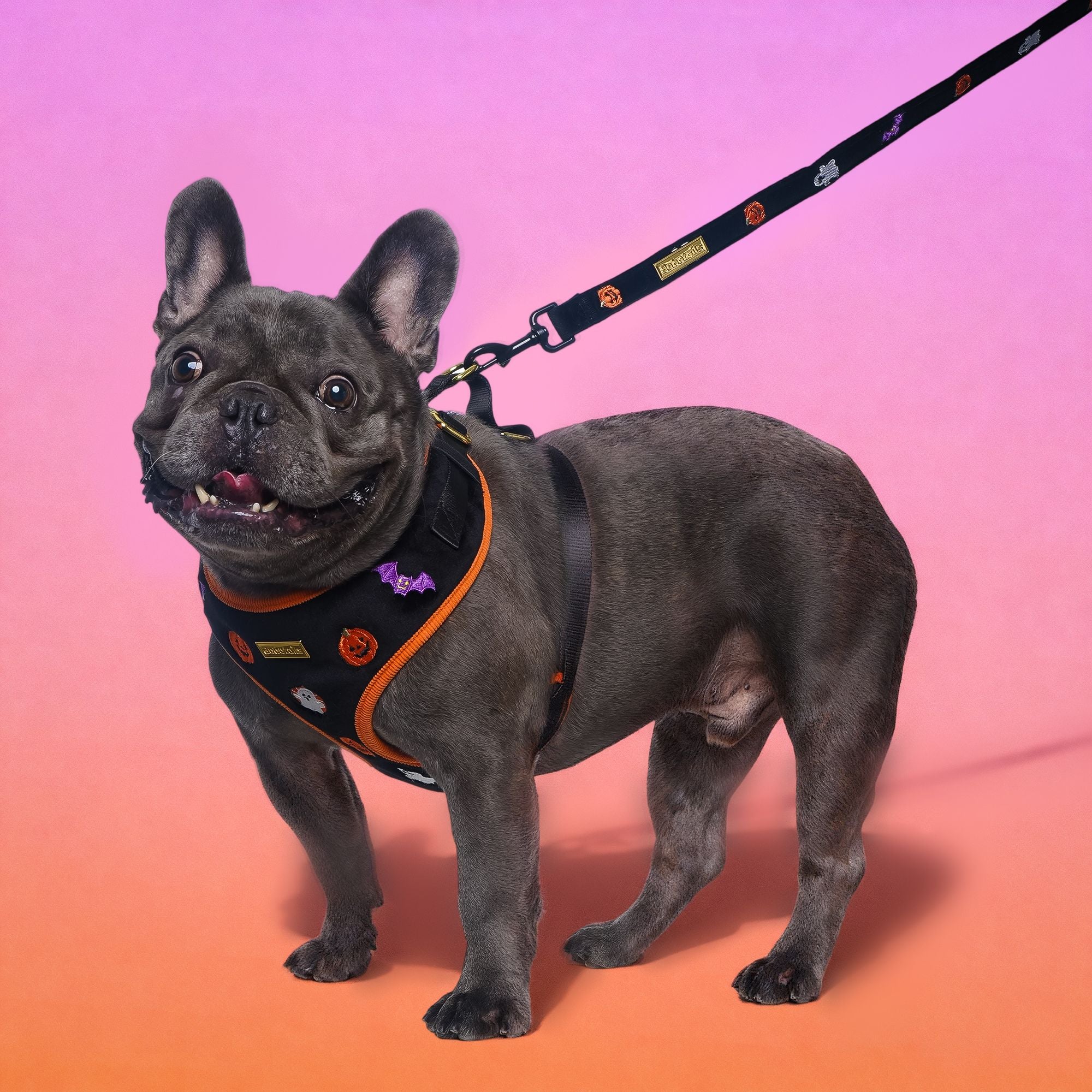 Hallowen Velvet Dog Leash | Bobotails