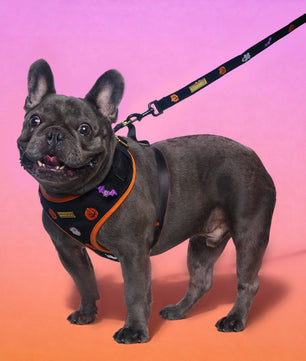 Halloween Velvet Dog Leash