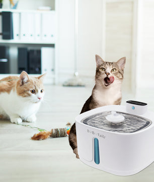 cat water dispenser with multi-level drinking areas
