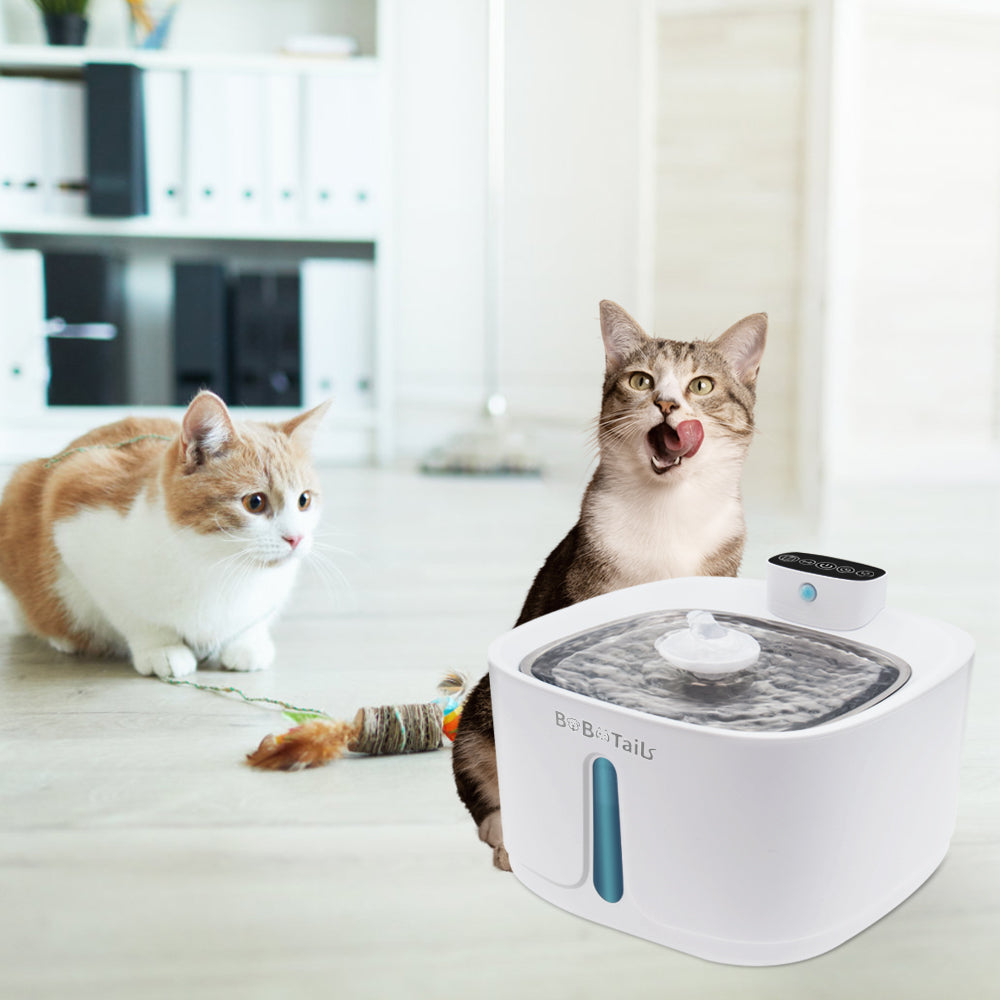 cat water dispenser with multi-level drinking areas