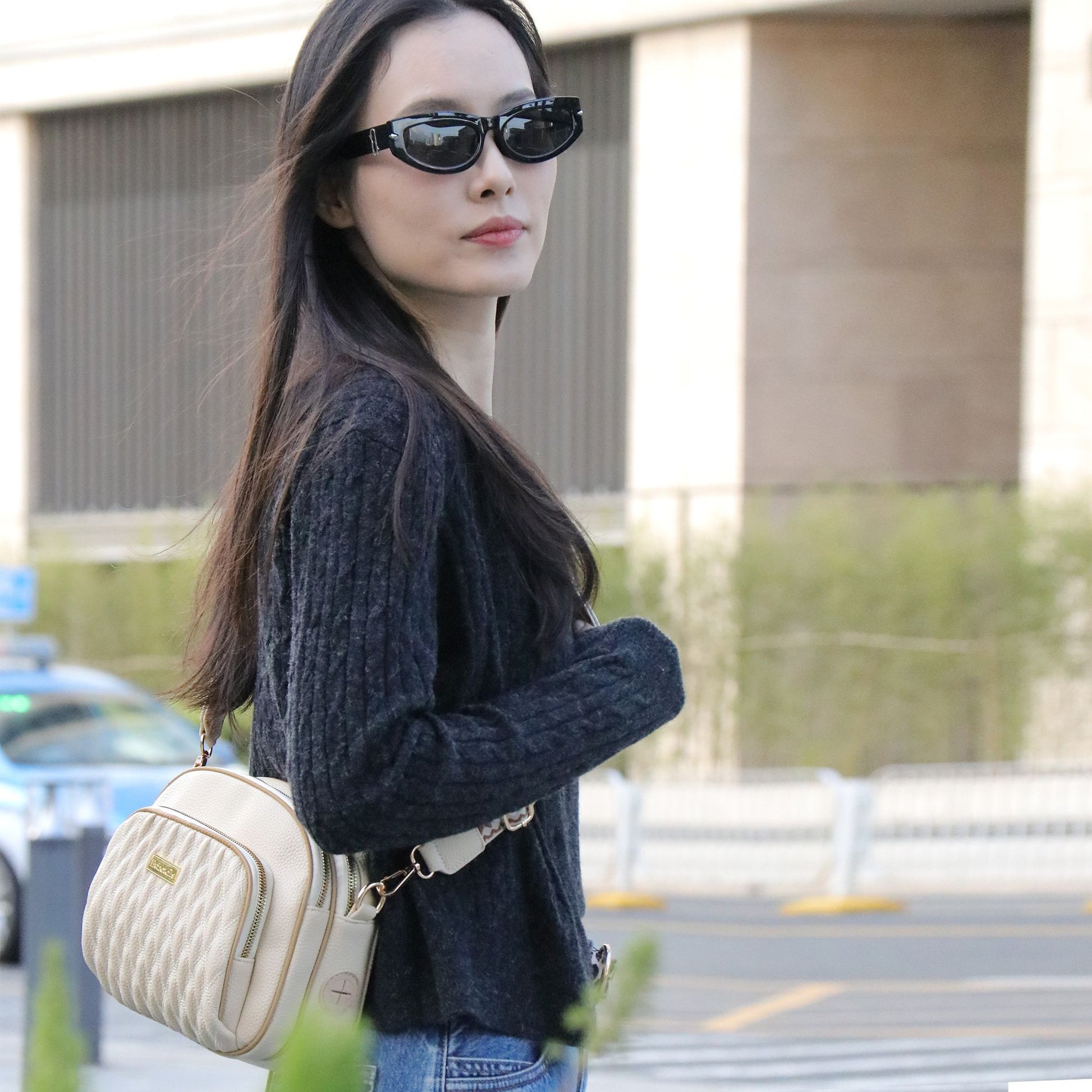 Sac à bandoulière pour promener son chien – Élégant et pratique pour toutes les mamans de chiens | Bobotails