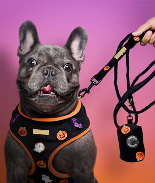 Halloween Poop Bag Holder